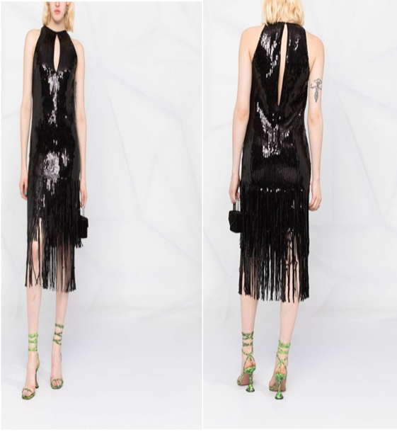 Sequined fringed dress 
